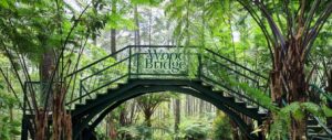 Rekomendasi Tempat Wisata Ngangenin di Kota Bandung